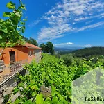 Quinta Da Vinagra *