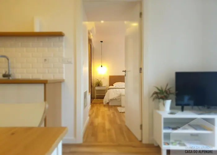 度假居 Quinta Da Vinagra Tourim